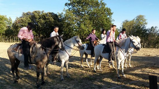 20160811 193037 largejpg