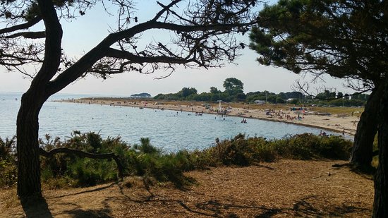 20160816 173024 hdr largejpg