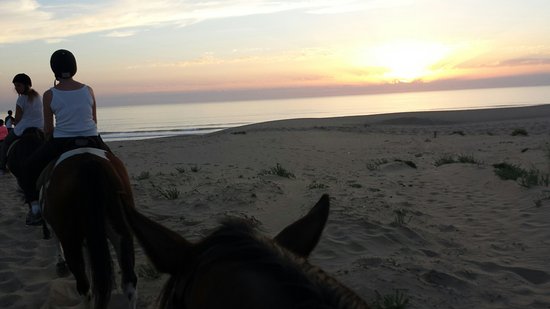 20160825 204833 largejpg