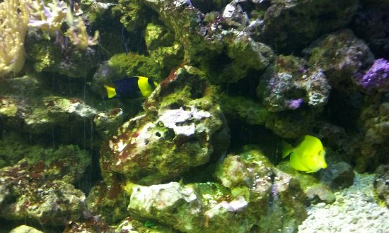 20160917 112210 largejpg