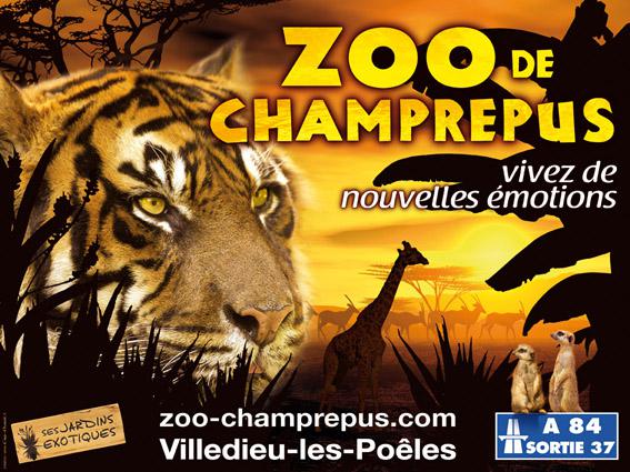 28428 zoochamprepus
