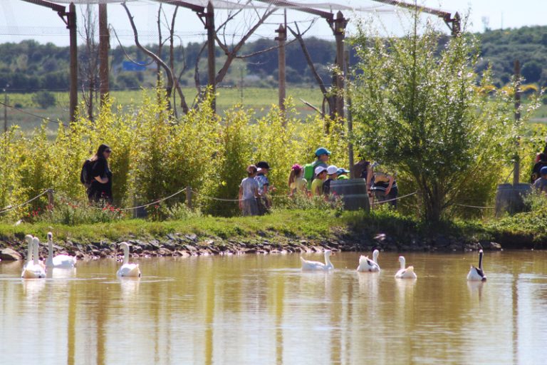 30223 cache 7265226 768x512