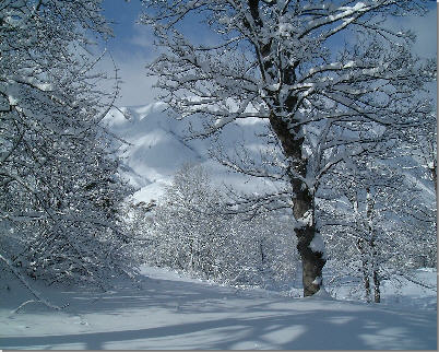 33766 raquette nature