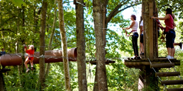 40321 tepacap bordeaux