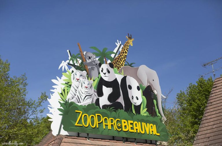 43787 zoobeauval 768x506
