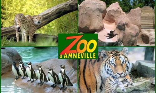 46826 zooamneville