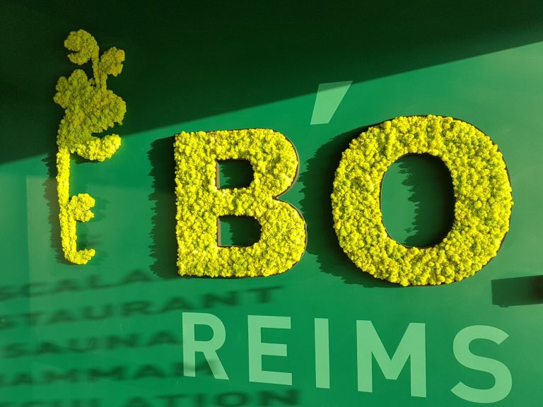 51853 bo reims 768x576