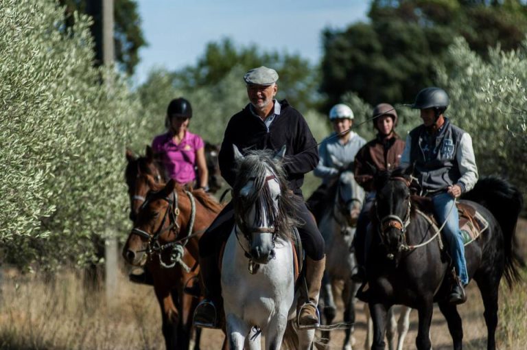 56772 horse evasion 768x510