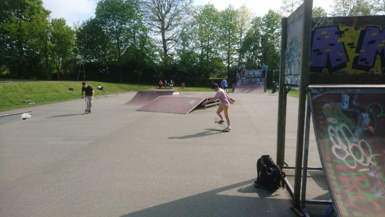 66158 dsc 1124 800x450 1 768x432