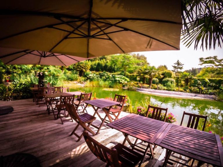 66470 louanne 768x576