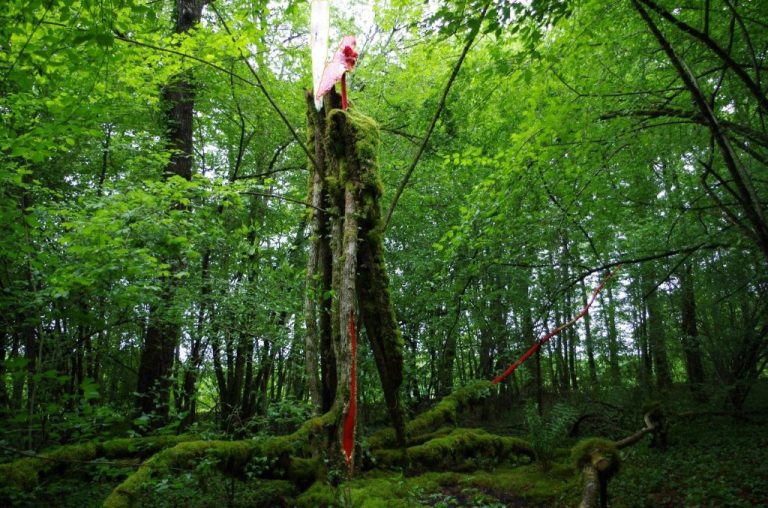 66839 amoureux 2016 geants verts landart argentaney tonnerrois bourgogne 1 768x508