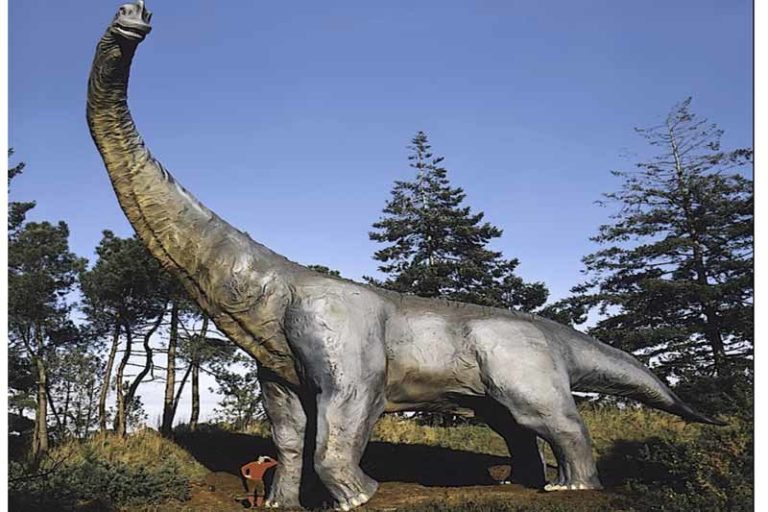 68275 parc prehistoire bretagne 768x512