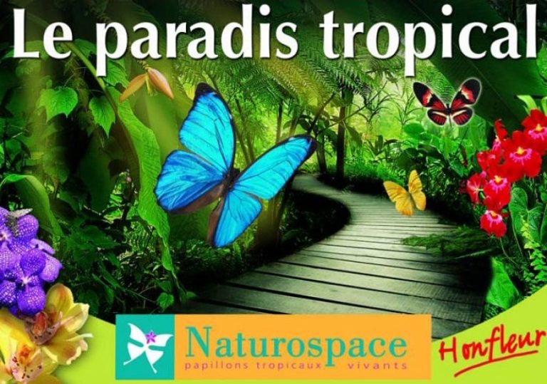 71868 naturospace 768x539