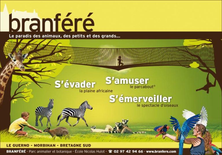 74690 branfere 768x537