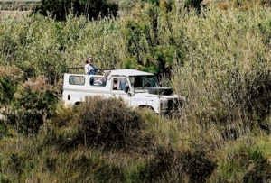 78463 camargue safari