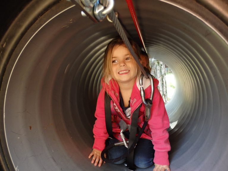 83373 in forest21 768x576