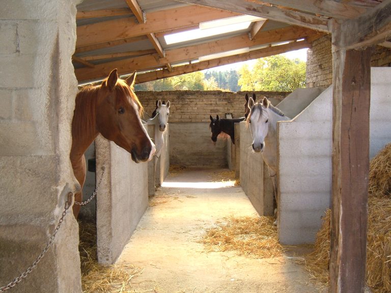 86882 ecuries bas four 768x576