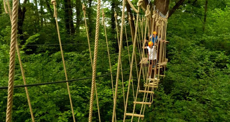 90431 foret vertiges 768x409