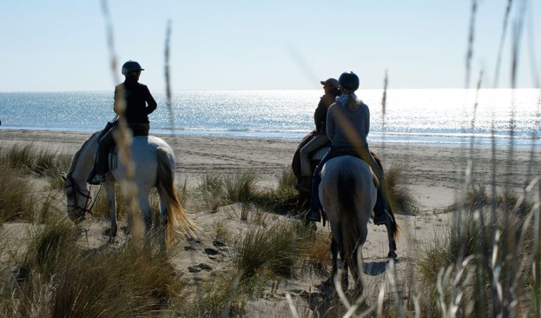 97522 arnelles 768x452