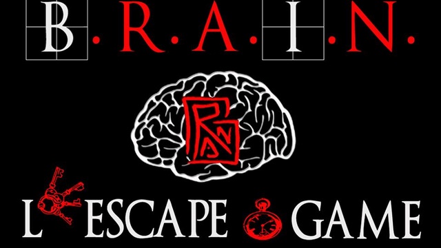 99504 logo brain enseigne