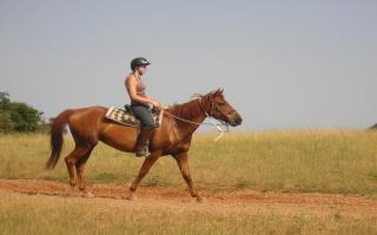 a cheval en cevennes