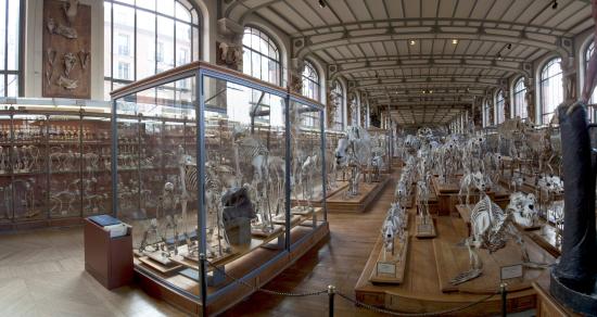 a view down the museum