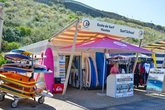 acceuil hastea sur la