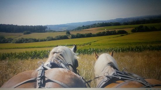 agreable campagne chalossaise