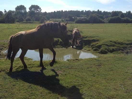 ajouter une legende 4