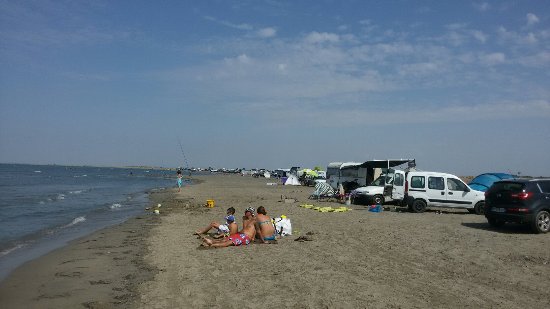 alcune immagini della