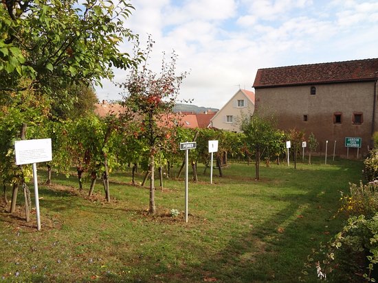 ammerschwir jardin des