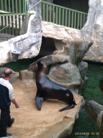 aquarium de noirmoutier