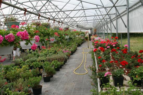 arboretum de chevreloup