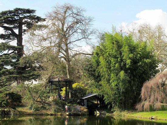 arboretum de la vallee