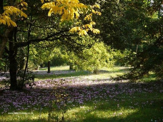 arboretum national des