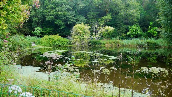 arbres du monde au huelgoat