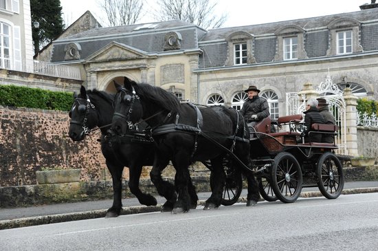 association belleme attelages