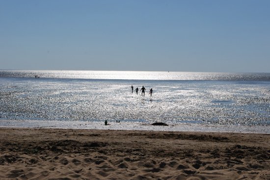 at low tide it was acres