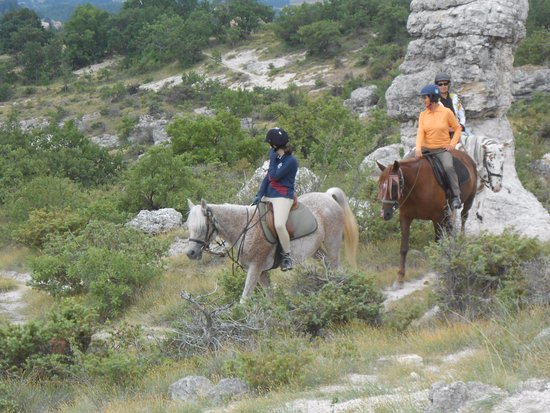 au ceour du site des
