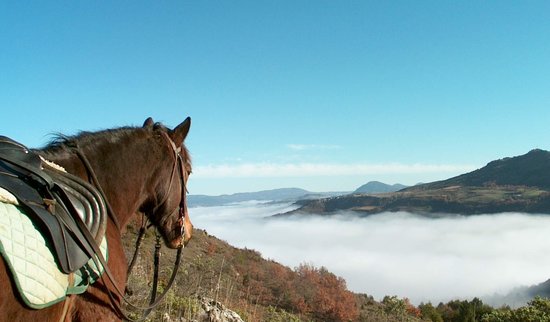 beautiful trail rides