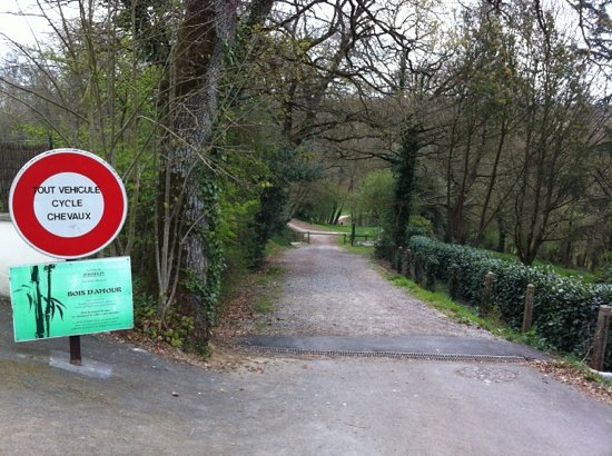 bois d amour josselin