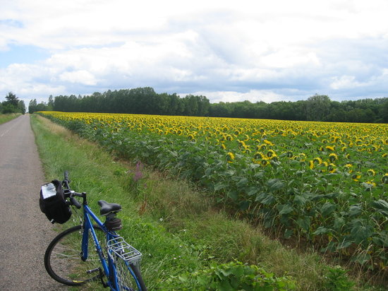bourgogne randonnees