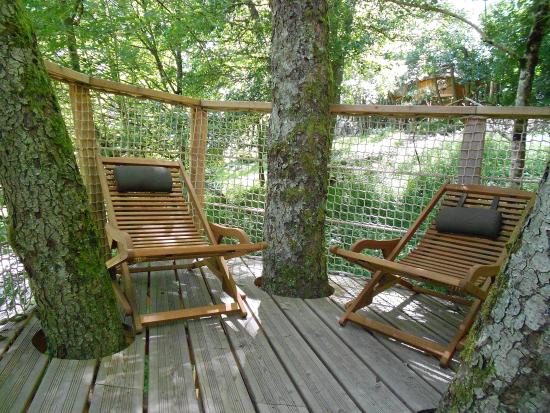 cabane dans les arbres