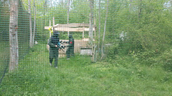 camp de depart du terrain