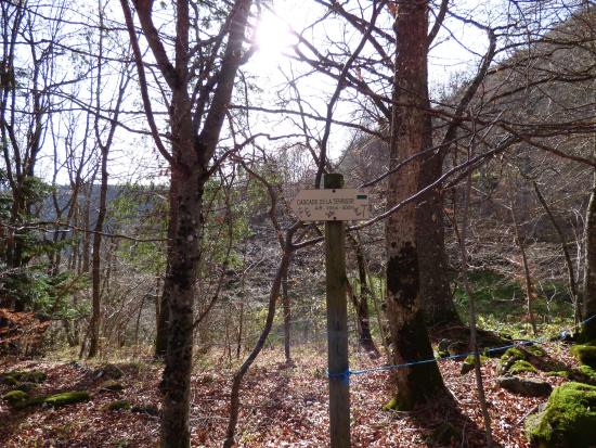 cascade de la terrisse