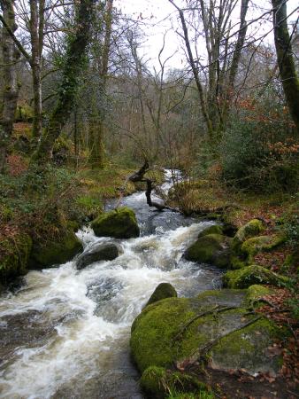 cascades et champs de