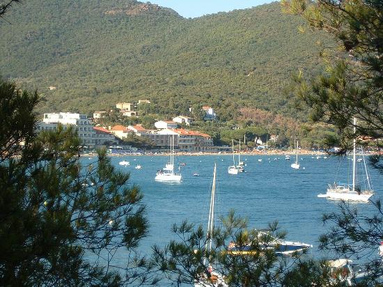 cavaliere commune du