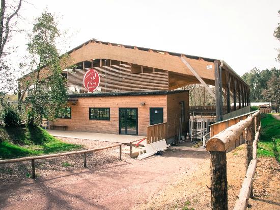 centre activites equestres