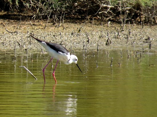 centre de decouverte