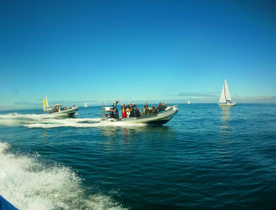 centre de plongee h2jo